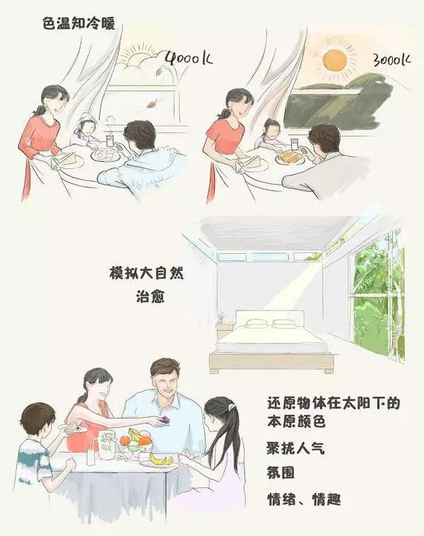 家里的筒燈、射燈、軌道燈，怎樣布局才合理？